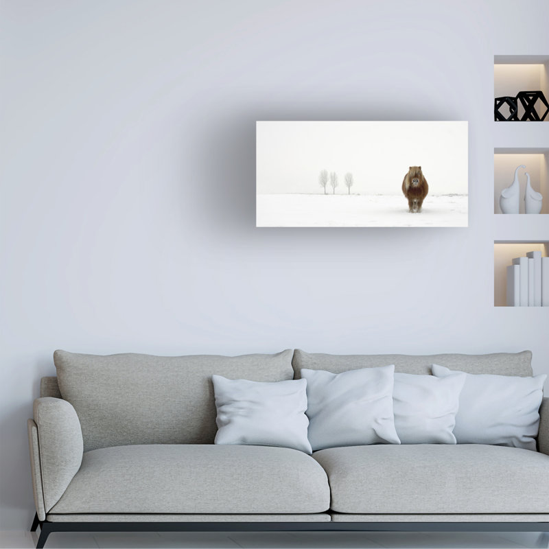 Art mural sur toile tendue - «The Cold Pony» de Gert Van Den pour décoration de salon, de chambre à coucher ou de bureau - 10 x 19