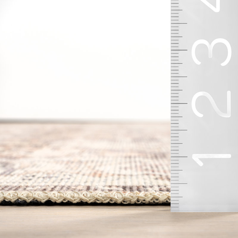 Mylah Cotton Traditional Area Rug, Rectangle 4' x 6'