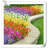 Lillies Arrangement-983255573
