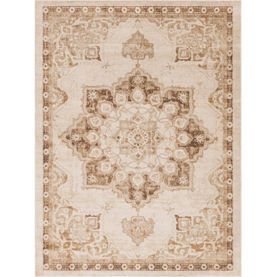 Oriental Indoor Rug