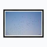 Murmur Iv Print by Tim Klein