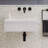 Delice 24" Rectangle Wall-Mount Bathroom Sink in Matte White-101511590