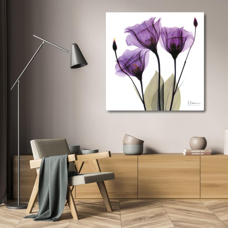 X-ray Royal Purple Gentian