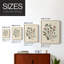 Pressed Arrangement I, reproduction encadrée - bois massif-1636249856-1636249860