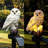 Christmas Decorations Solar Owl Light Integrated LED Resin Pathway Light Outdoor Waterproof-112575688