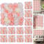 Arrangement-716305204