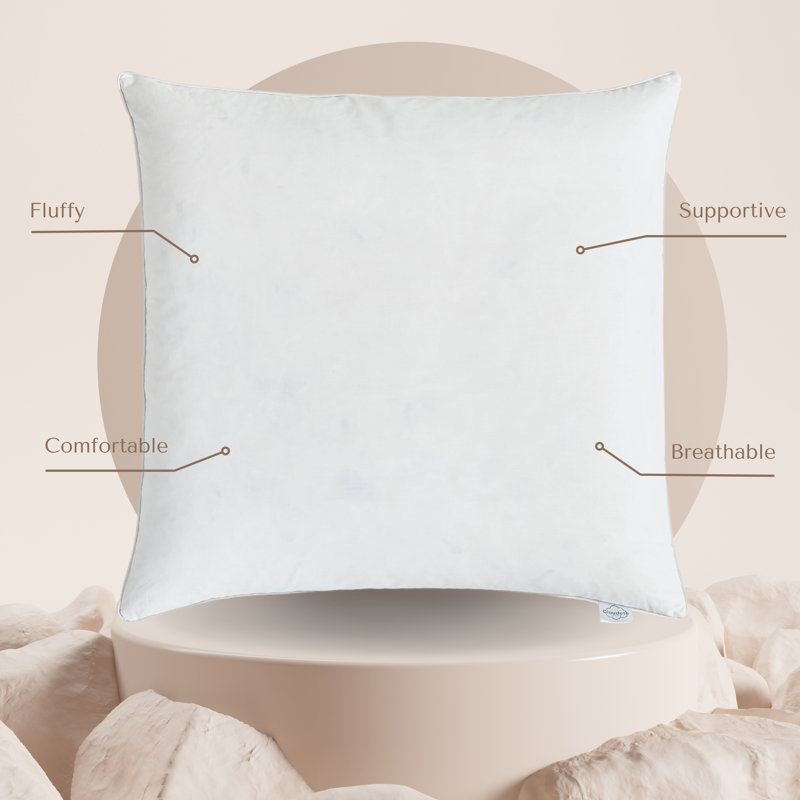 Goose Feather Down Throw Pillow Insert, Square, 24''H x 24''W