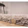 Ophiuchi Machine Woven Grey Indoor Rug