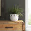 Kearns Terracotta Pot Planter