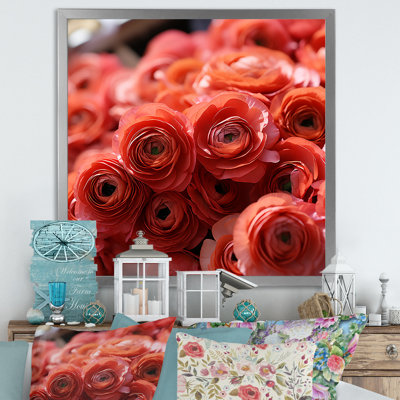 Ranunculus rose, couches de beauté - Renoncule, art mural