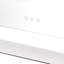 Adelard Metal Flat Floor Mirror