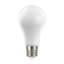 13.5 Watt LED Bulb-64089517