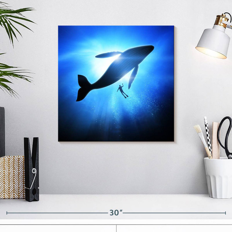 Plongeur Brampt et baleine à bosse