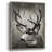 Focused Buck Framed Print - Solid Wood