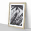 Palm Tree Shadows - Picture Frame Painting Print-55577940-55577937