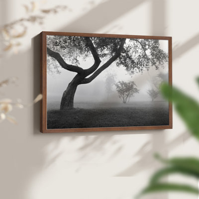 «Into the Mist», impression encadrée