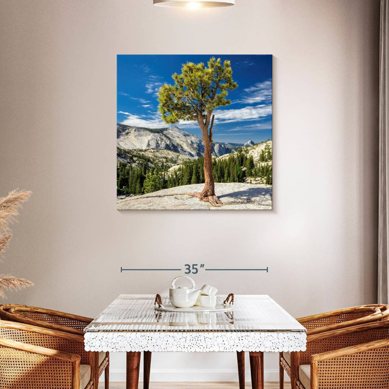 Arbre Harnek Yosemite Park, H 36 po x l 36 po