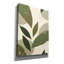 "Dakota Fields", feuilles abstraites vertes no 3 "par Andreas Magnusson, art mural sur toile, 26 po x 34 po-355815955