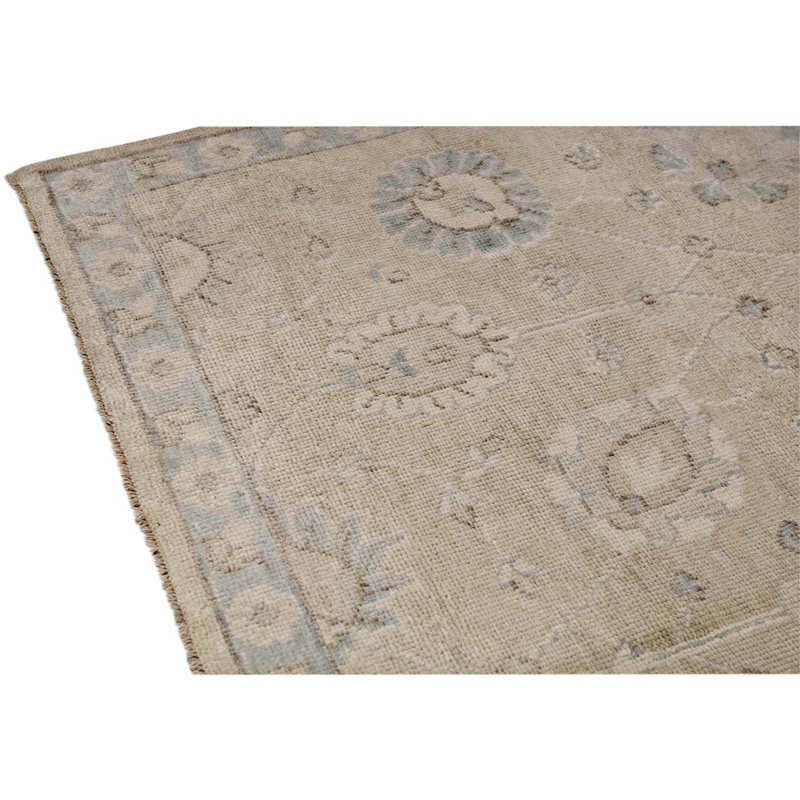 Floral Area Rug in Ivory