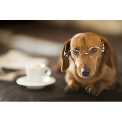 Mignon chien teckel assis à côté d'un journal et d'une tasse de café par Mrpliskin
