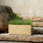 Rectangle Planter Box