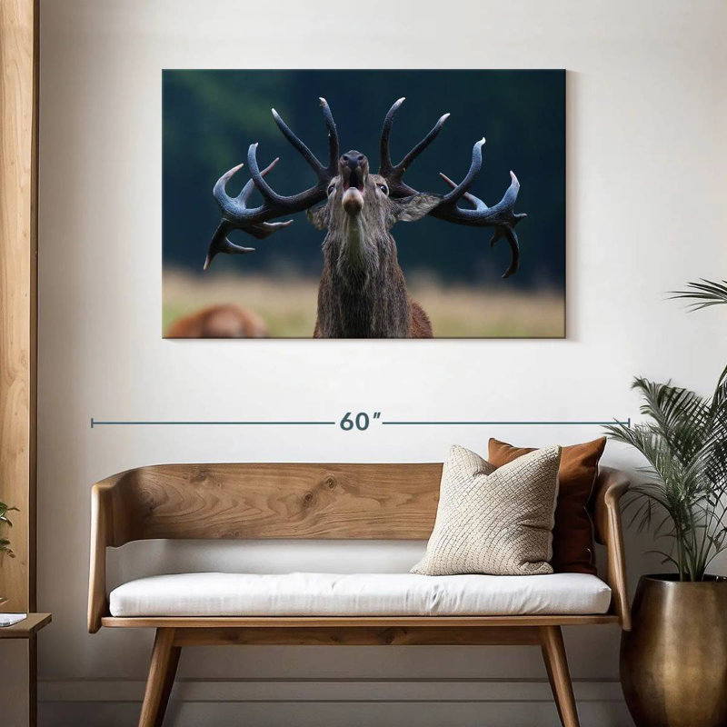 Bruit de cerf Brampt, H 30 po x l 45 po
