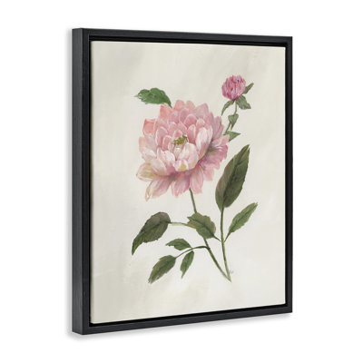 Fleur de dahlia rose simple