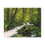 No Frame Print on Canvas-297426617