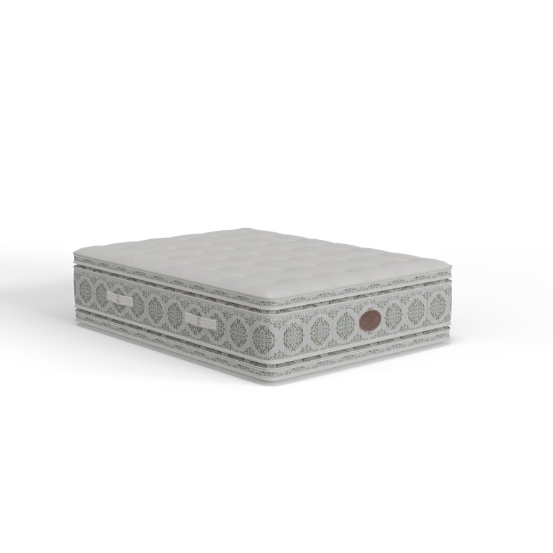 1893 Bodaciousness Plush Pillow Top Mattress, King
