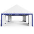 Blue-white