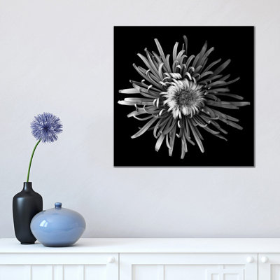 Mum Special by Magda Indigo - Wrapped Canvas Gallery-Wrapped Canvas Giclée