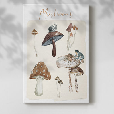 Mushroom Chart -Gallery Wrapped Cavas