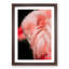 Pink Flamingo - Picture Frame Painting Print-55583965-55583968