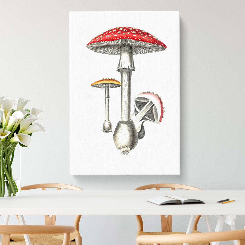 Amanita Muscaria Mushroom Illustration - Wrapped Canvas Painting, 76cm H x 50cm W x 3cm D