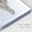 Sea Front Shell I - impression sur toile tendue-886172606