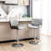 Aanyla Swivel Adjustable Height Bar Stool