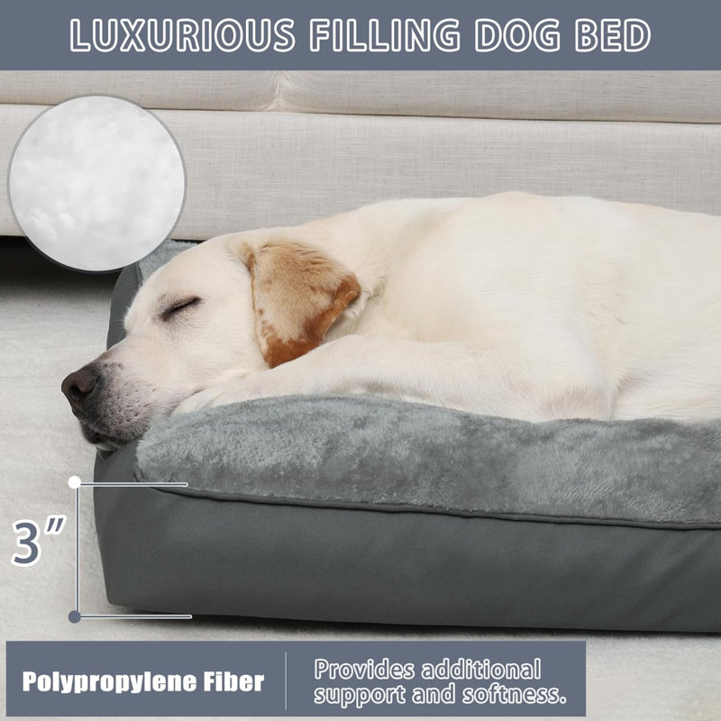 Lit de chien pour chien de luxe imperméable avec housse amovible et lavable, Grand (l 41 po x P 27 po x H 3 po)