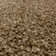 Taiwo Shaggy Natural Area Rug