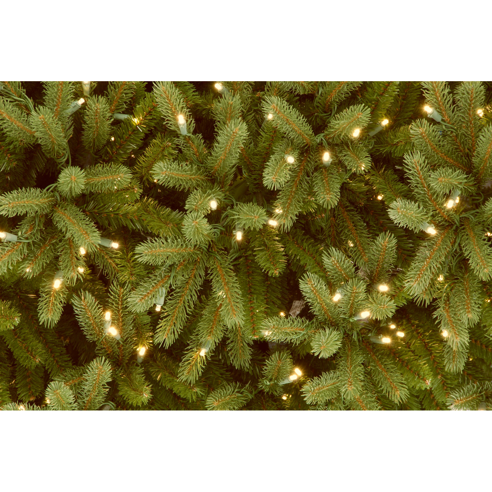 Jersey Pre-Lit Fir Tree, 10'