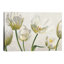 « soffio di luce » par eva barberini-peinture-49715471-49715470