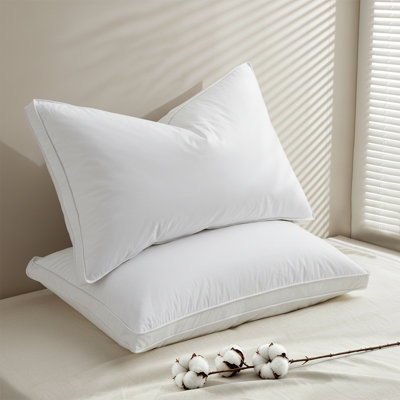 Plush Goose Feather Pillow