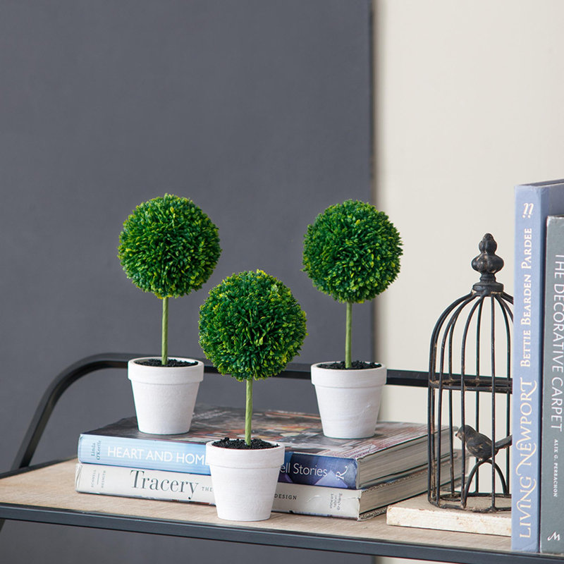 Set of 3 Mini Topiaries in Decorative Pots