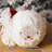 Januelle Christmas No Animal(s)