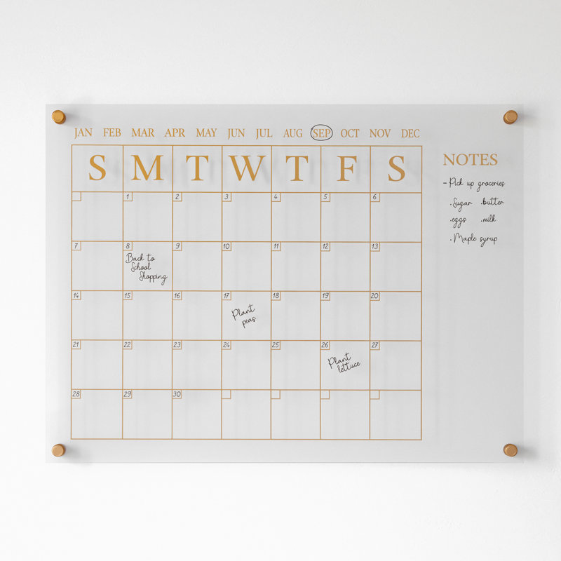 Thomas Martha Stewart Acrylic Wall Calendar with Notes with Dry Erase Marker and Mounting Hardware, Yellow