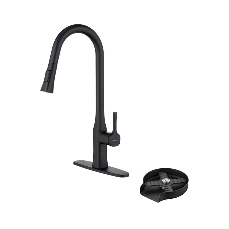 Boyel Living Pull Down Kitchen Faucet, Matte Black