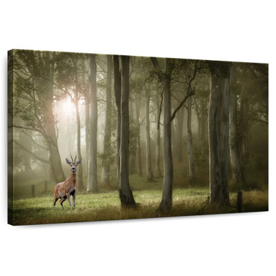 Brampt French Forest Deer
