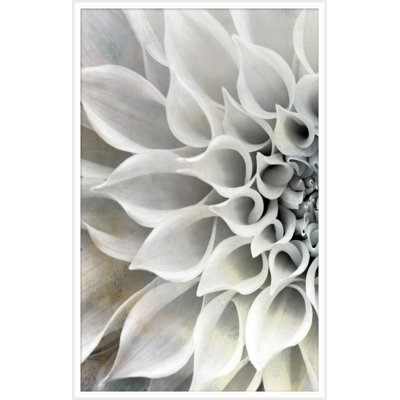 Delicate Petals A Print