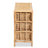 Dariana Modern Bohemian Rattan 6-Drawer Storage Cabinet