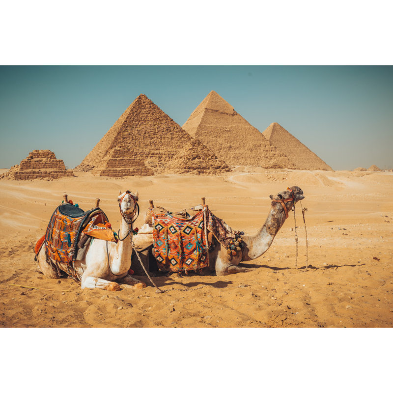 Wrapped Canvas Print, 50.8 cm H x 76.2 cm W