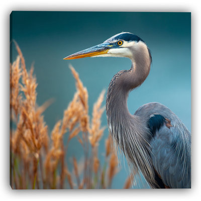 Portrait de majestueux héron